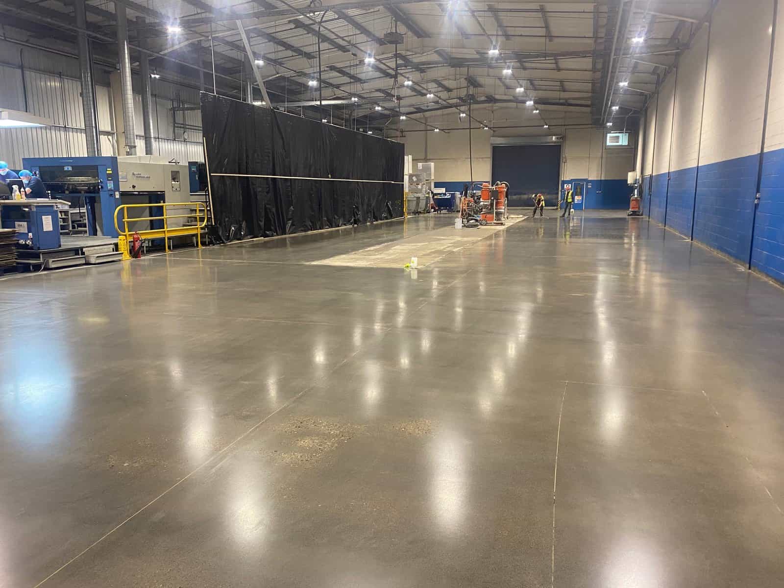 polished floor darlington